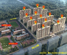 �ƹ������